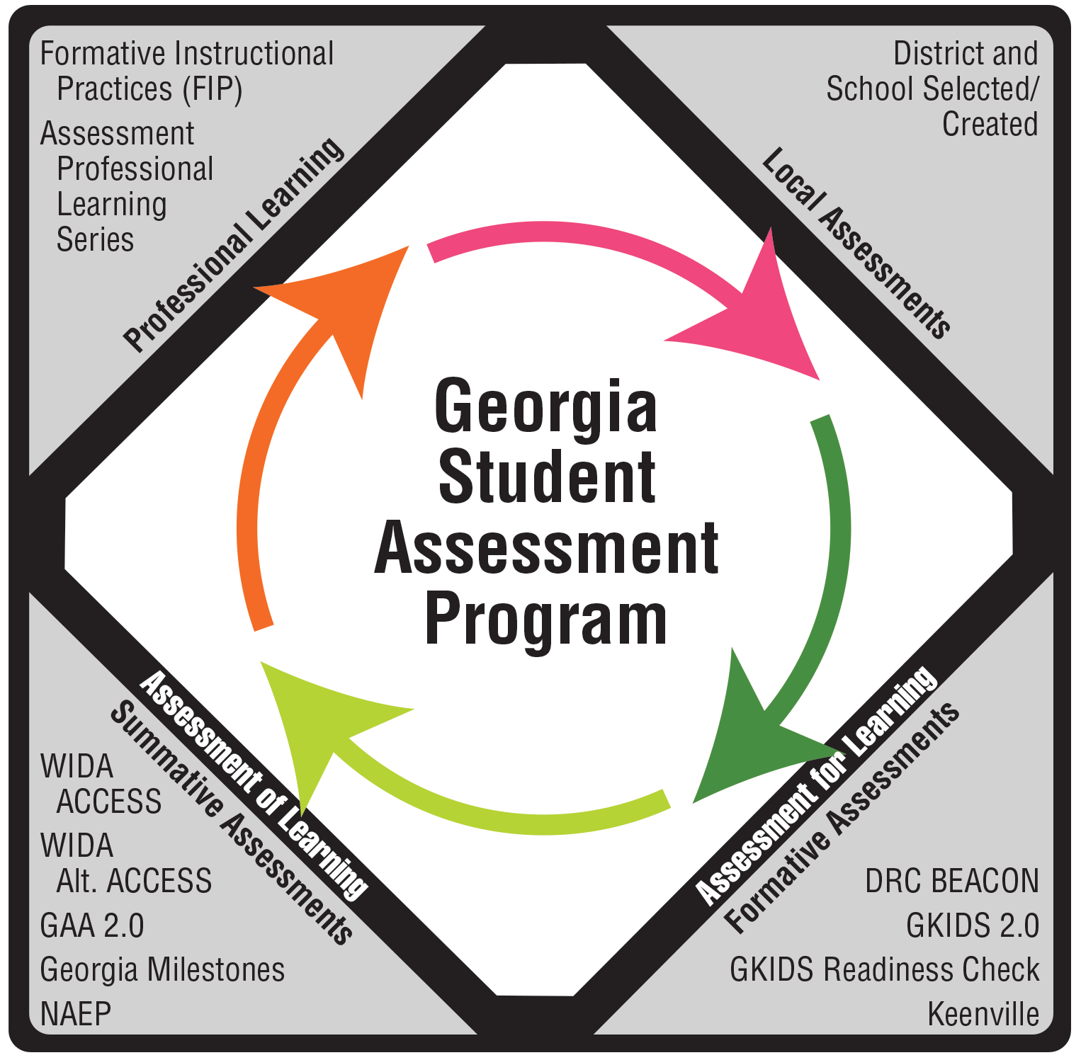Georgia's Student Assessment Program