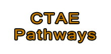 CTAE Pathways