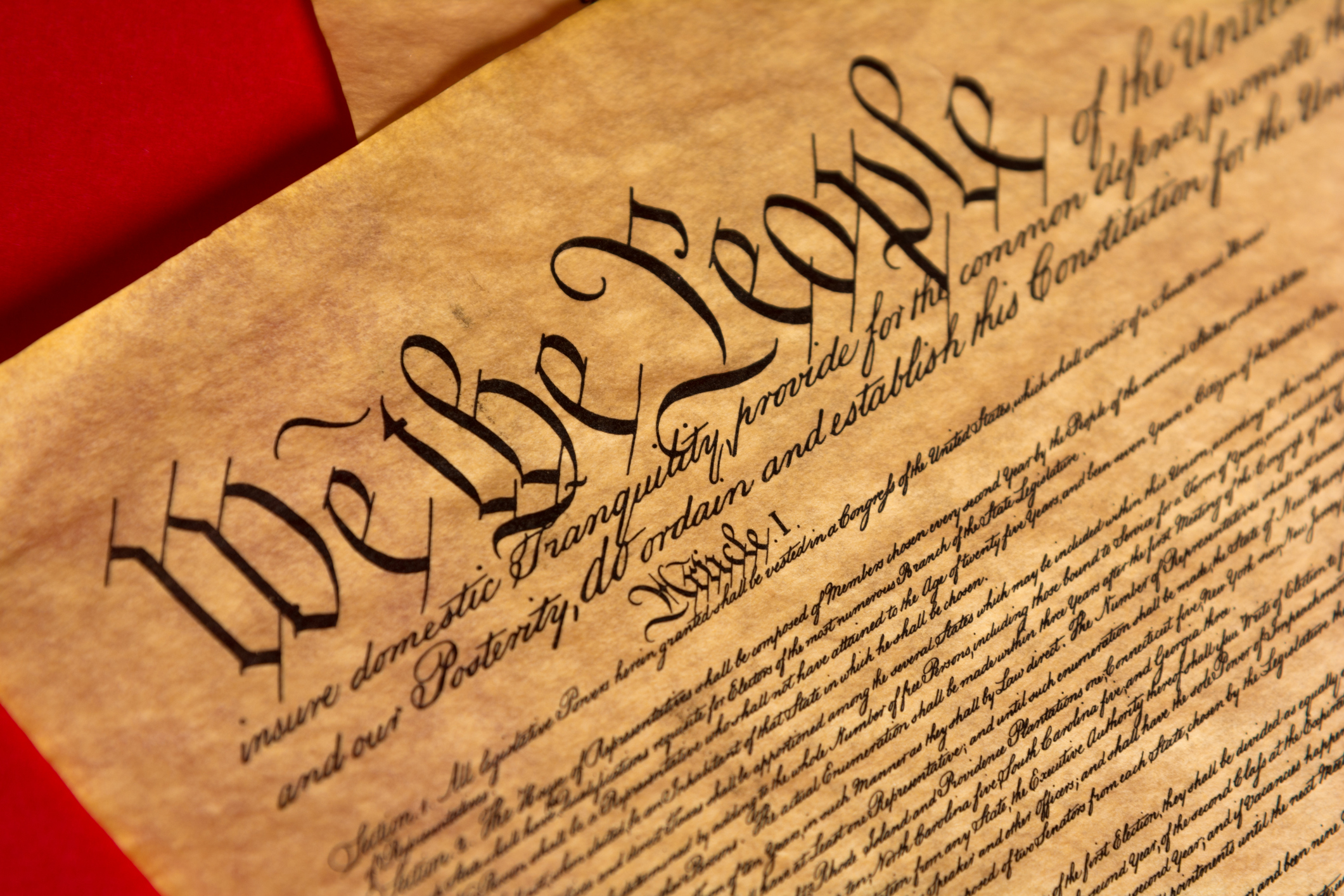 "we the people" visual of the United States Constitution