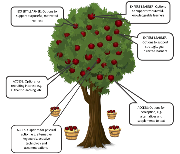 Graphic of Tree with simple resources and system change resources for UDL and Curriculum Access