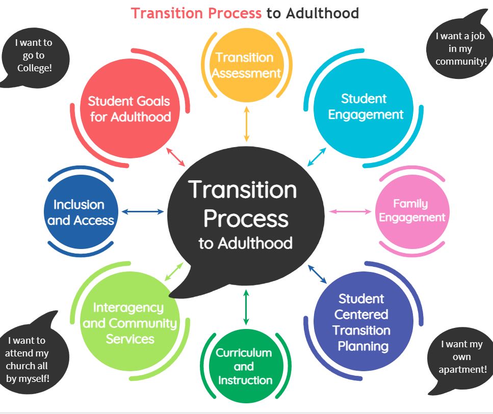 Transition Process to Adulthood